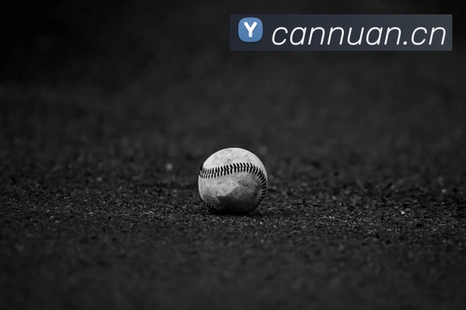 人人体育官网直播服务体系